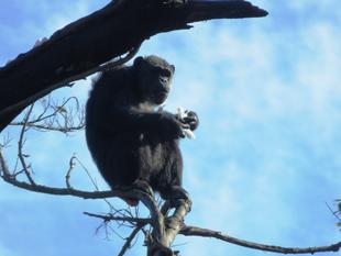 寒い寒い！けど・・・