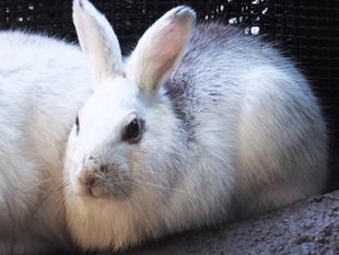 同居しちゃいました♡♡♡♡