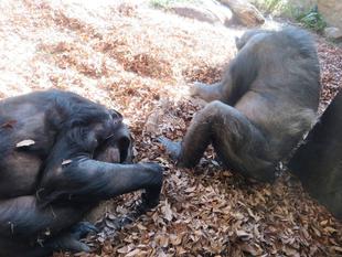 毎年のことですが。