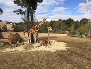 気になります‼