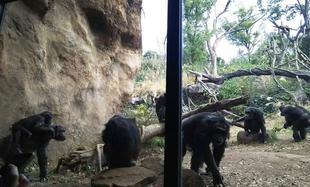 ソワソワわくわく！