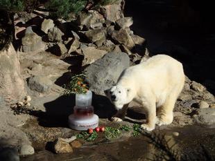 おめでとう★ツヨシ