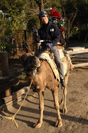 クリスマス・ライド