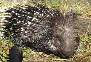 お日様は大事！