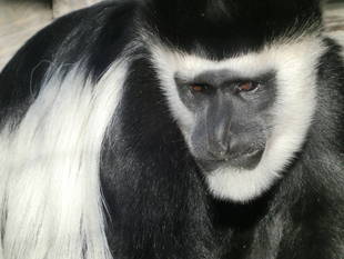 寒いのだけは・・・