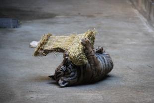 子育て情報-17（その日のP.M.）