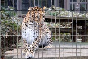 ダッシュのクリスマス☆