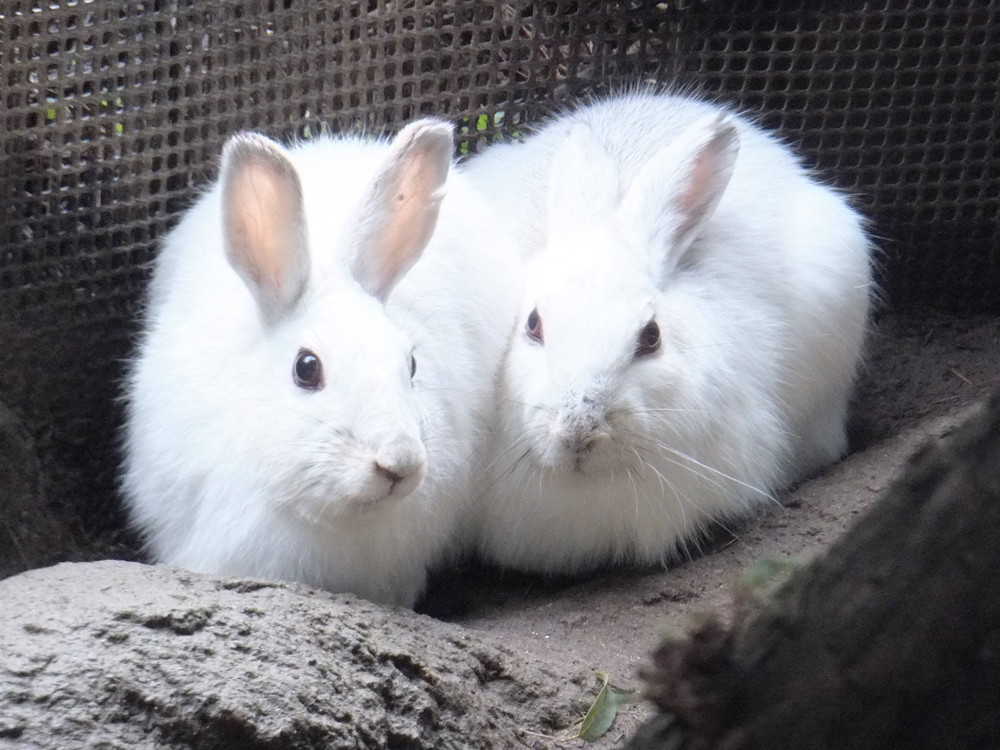 愛されています♡♡♡♡♡の写真