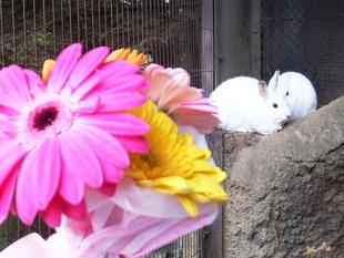 ♡プレゼントを頂きました♡