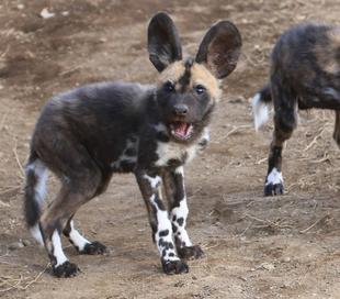 土の感触、たまりません！