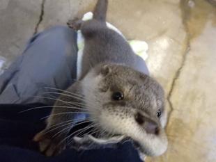 ひとりでも、あちこち♪