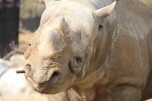 わくわく！！！