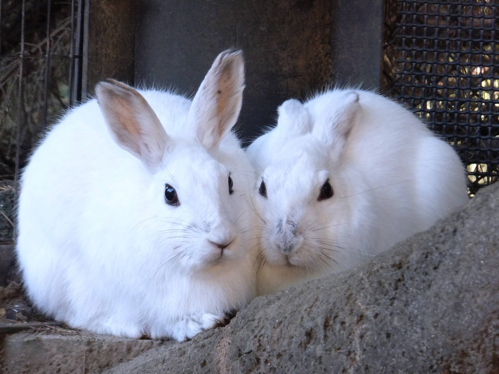 寒い時は...♡♡♡♡♡♡♡♡の写真