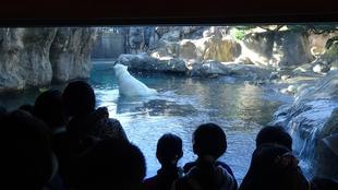 ズーラシアスクール6期生　第４回