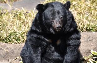 まるまる♪もこもこ♪