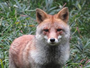 見守ってください！