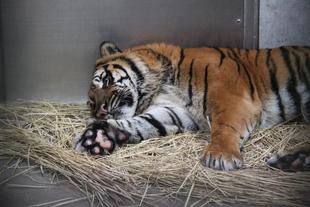 冬仕様（寝室編）