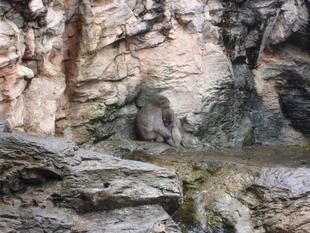 今年も、美味でございます～♪