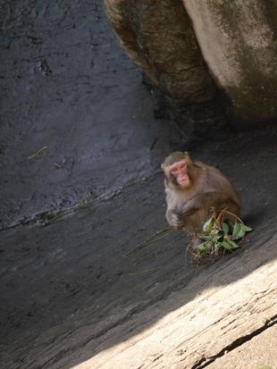 大きく成長中！