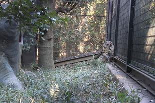 リニューアル！？