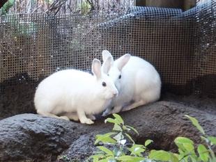 色気より食い気♡♡♡♡♡♡