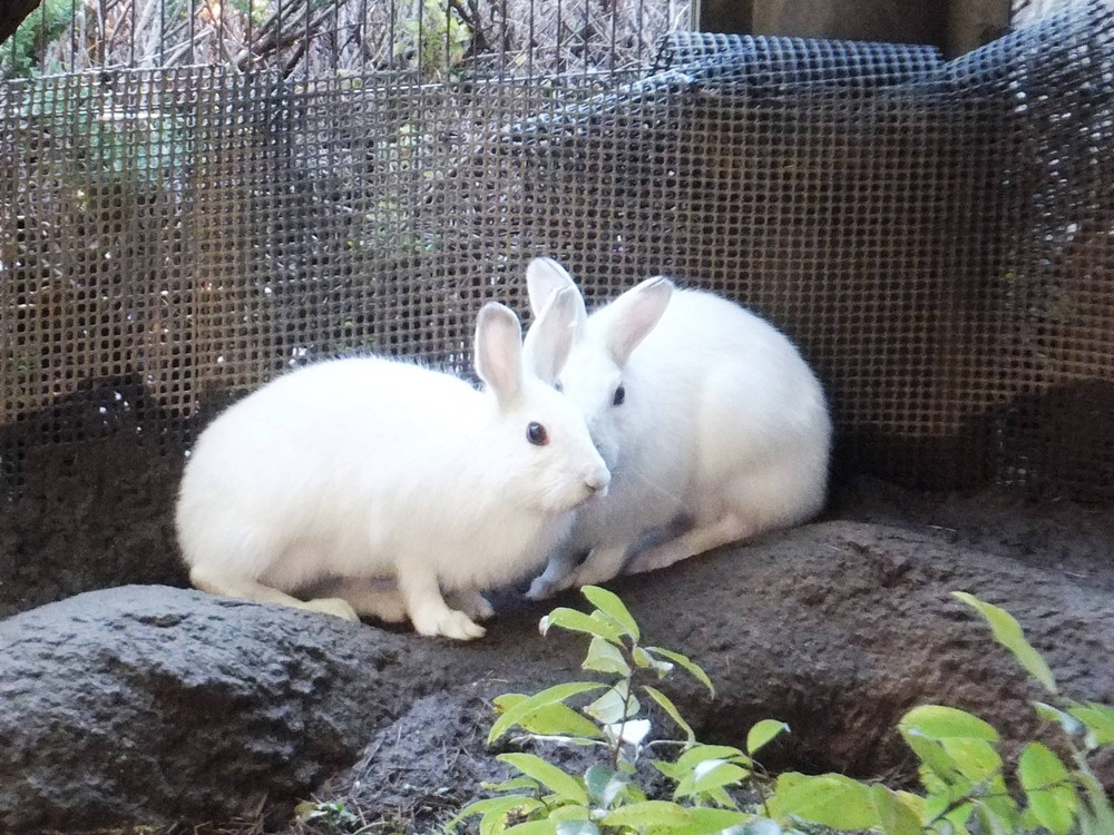 色気より食い気♡♡♡♡♡♡の写真