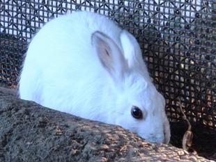 やっぱり、色気より...♡♡♡♡♡♡♡