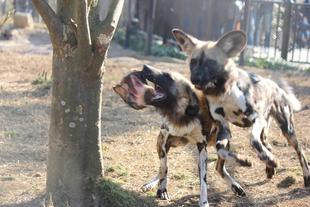 1歳になりました！