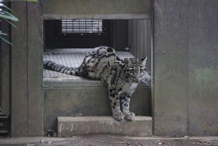 またまた新顔登場です(=^・^=)