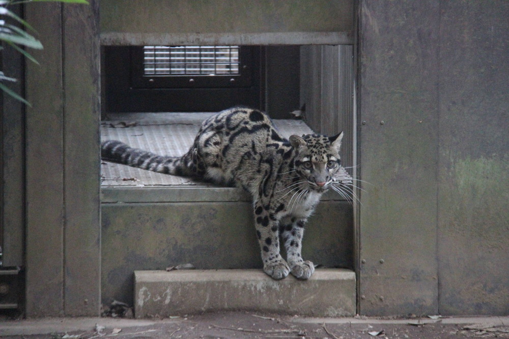 またまた新顔登場です(=^・^=)の写真