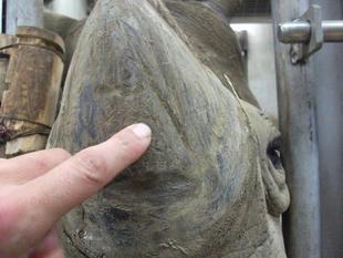 21歳のやんちゃ？！