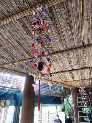 チンパンジーは園路も注目！