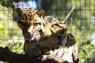 ようやく・・・(*^_^*)