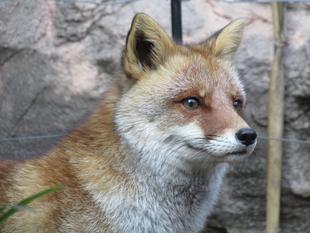 喜んでくれました