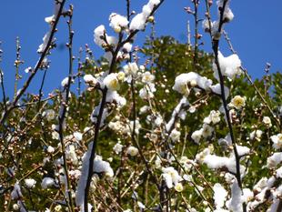 これぞまさしく...