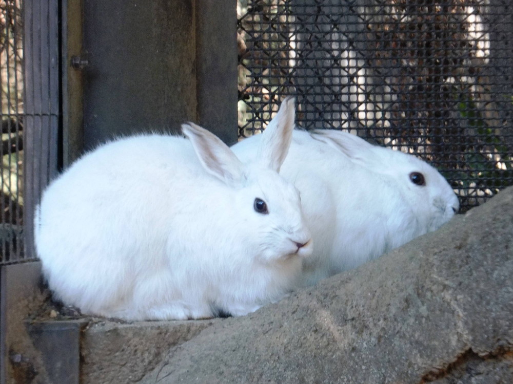 戻ってきてくれます。♡♡♡♡♡♡♡♡♡♡の写真