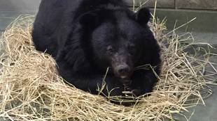 お部屋紹介☆（冬編）