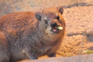 成長を感じる瞬間