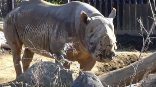 ズーラシアスクール6期生　第5回