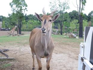 正解は・・・。