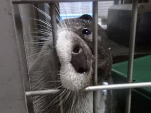 みんな元気です☆