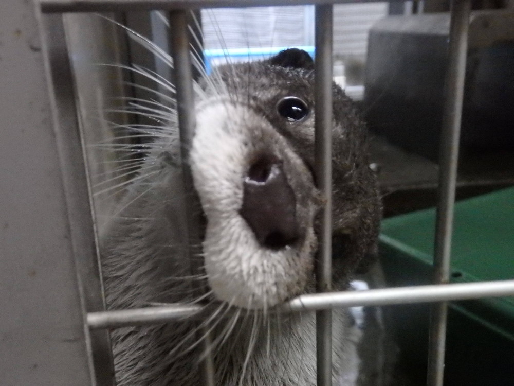 みんな元気です☆の写真
