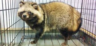 ズーラシアスクール6期生　第6回