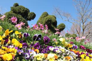 エントランスも花いっぱい☆