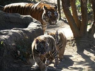 お待たせしました～