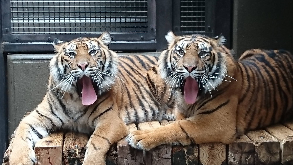 あれから1年が・・・の写真