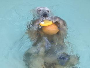 早いもので、一年です...