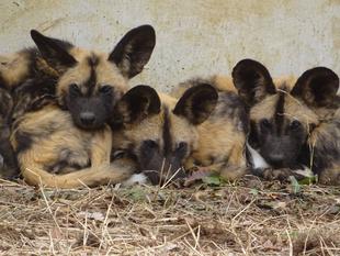 お待たせしました‼