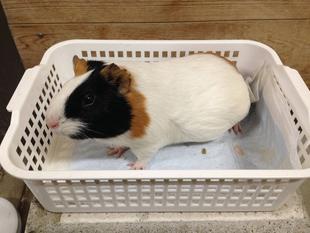 見えない部分を見てみよう！