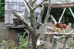 気になるあの子は？